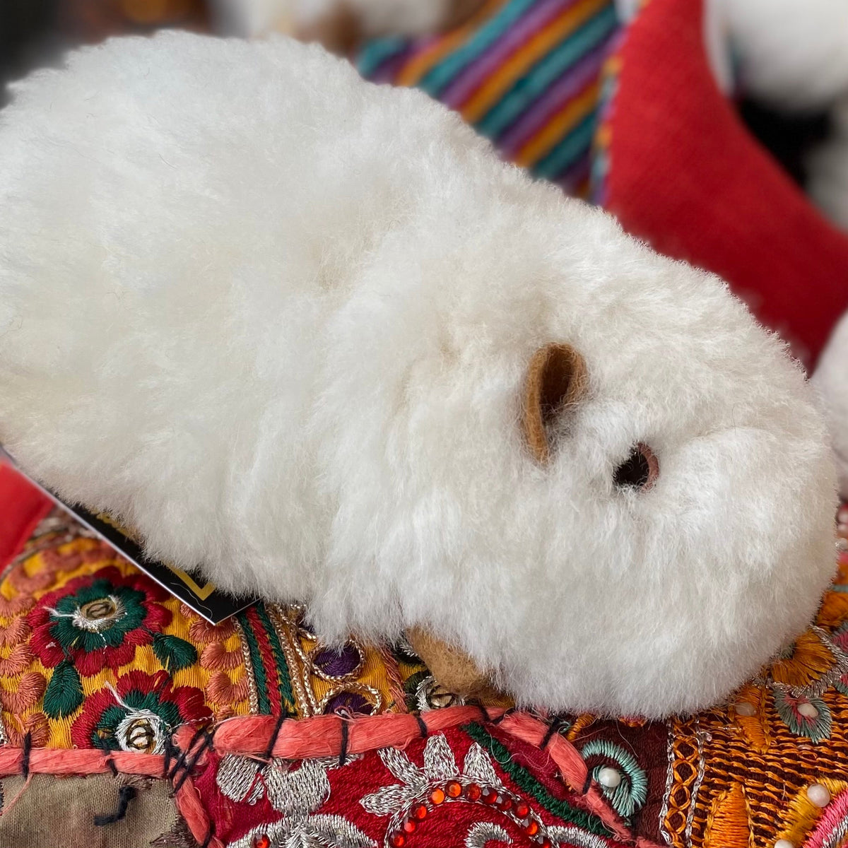 Alpaca 2024 guinea pig