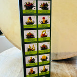 Blooming Tea Gift Box