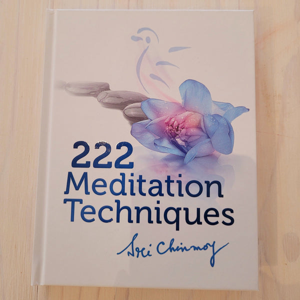 222 Meditation Techniques
