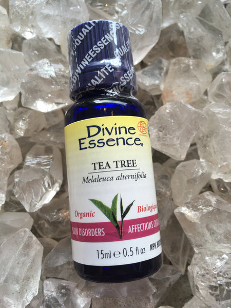 Tea Tree Divine Essence Essential Oil (Organic)